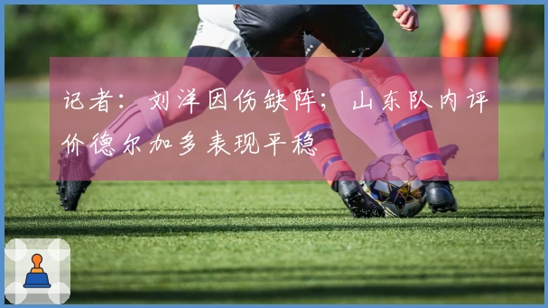 记者：刘洋因伤缺阵；山东队内评价德尔加多表现平稳